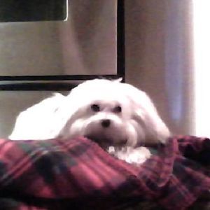 Meet your Posher, Marina